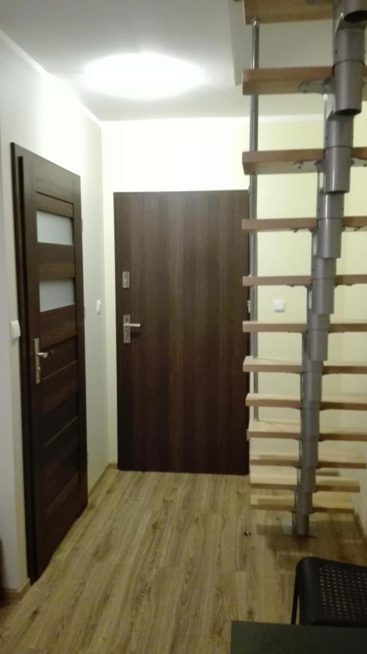 Falkowo Tropikalna Odnowa Bed & Breakfast エクステリア 写真